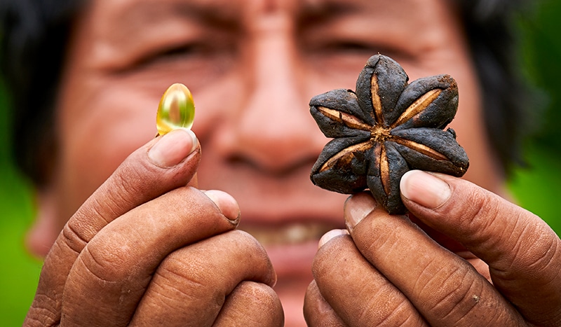 Sacha Inchi softgel capsules
