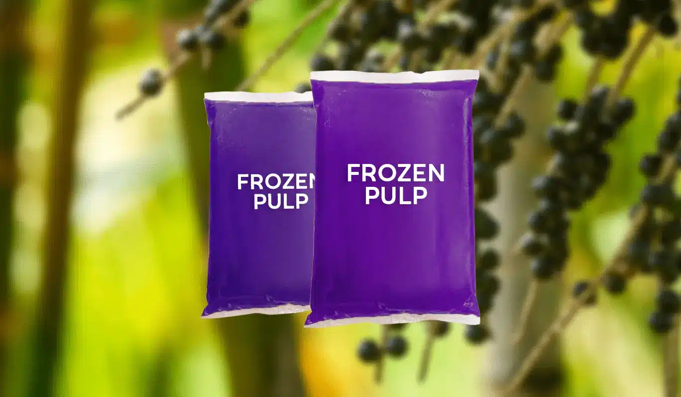 Exportación Sostenible de Pulpa de Açaí Congelada desde Perú