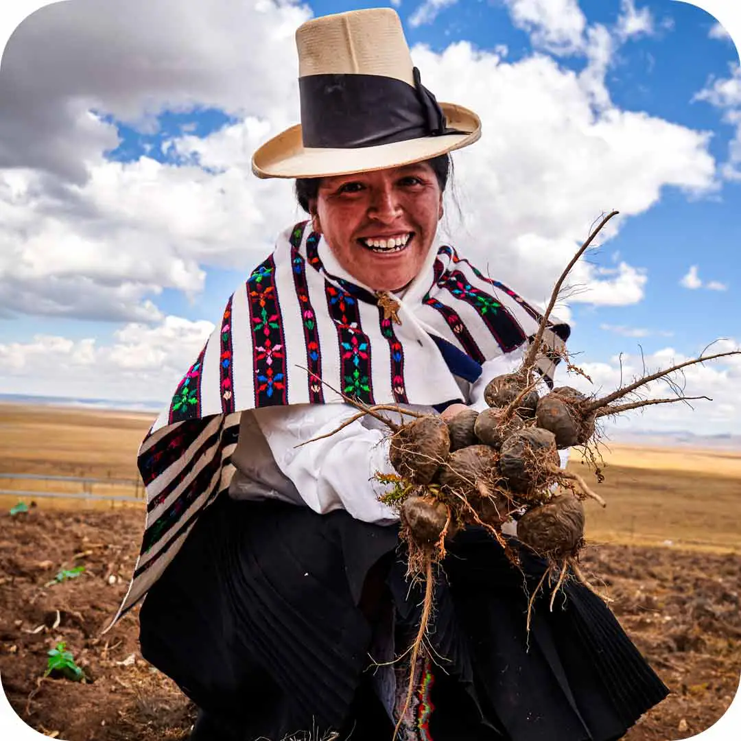 Contexto de los Andes altipl&aacute;nicos