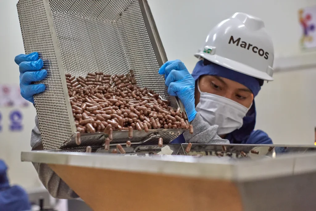 Primer plano de un trabajador de producci&oacute;n vertiendo c&aacute;psulas de Huanarpo Macho en la tolva de una m&aacute;quina embotelladora.