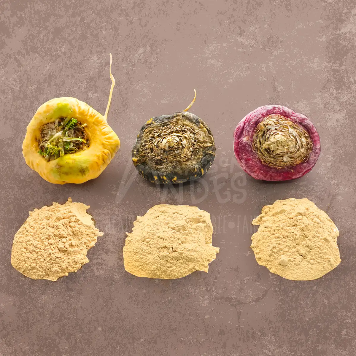 Maca Negra, Roja & Amarilla: Una Guía de Sourcing de Quimiotipos B2B