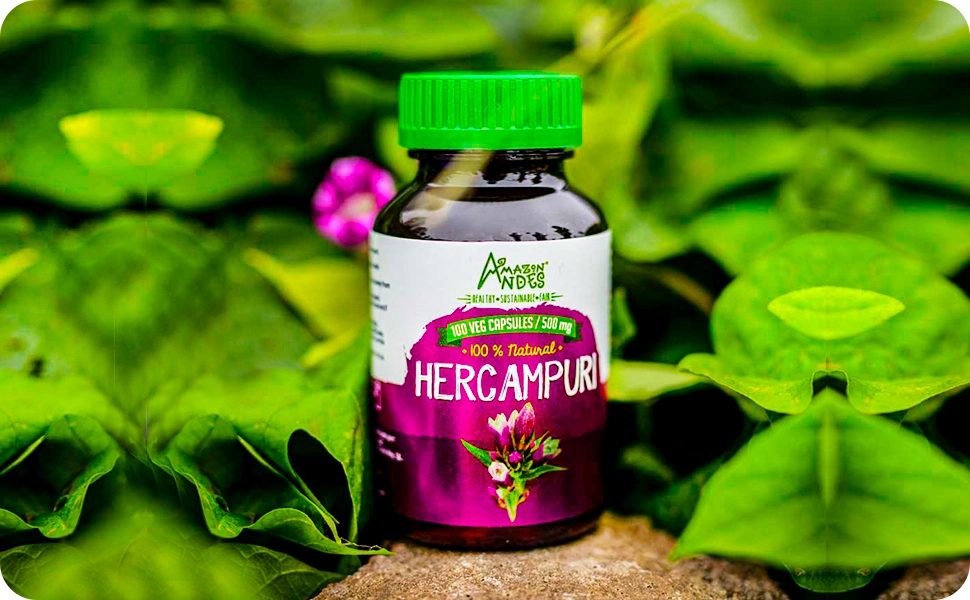 Hercampuri y muña: dos plantas andinas de la tradición digestiva peruana